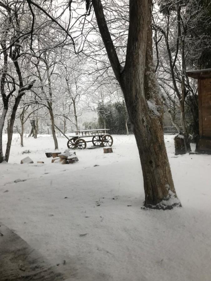 Бунгало Kheivani Buitenkant foto