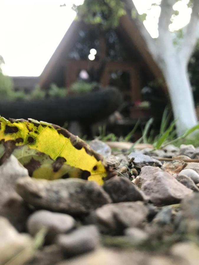 Бунгало Kheivani Buitenkant foto